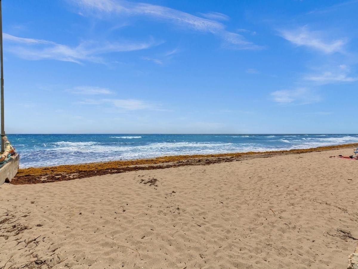 The Shell On Walnut 1Br1Bath Hollywood Beach Free Parking Dania Beach Exterior foto
